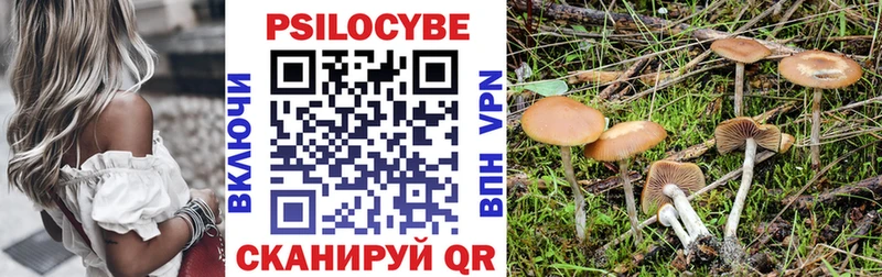 даркнет официальный сайт  hydra ссылка  Чистополь  Галлюциногенные грибы мухоморы 