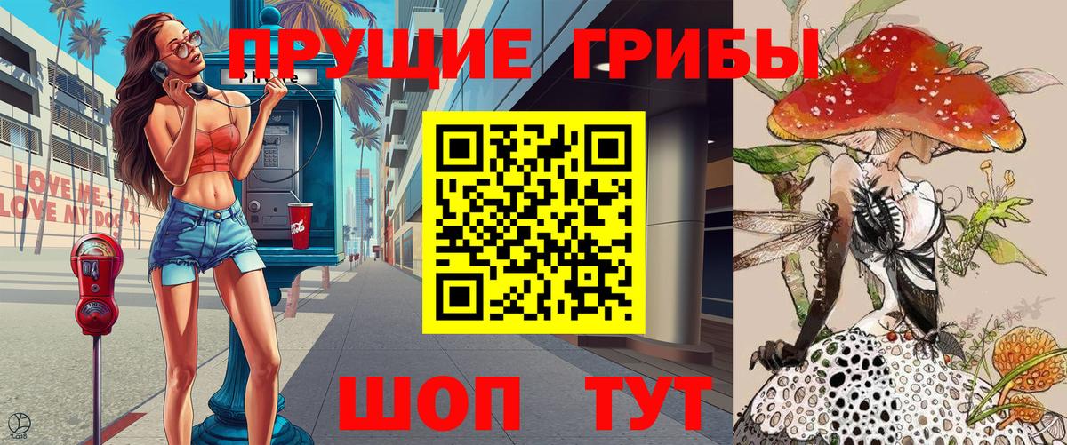 Галлюциногенные грибы Psilocybe  Псилоцибиновые грибы прущие грибы  Вход с VPN  Чистополь 