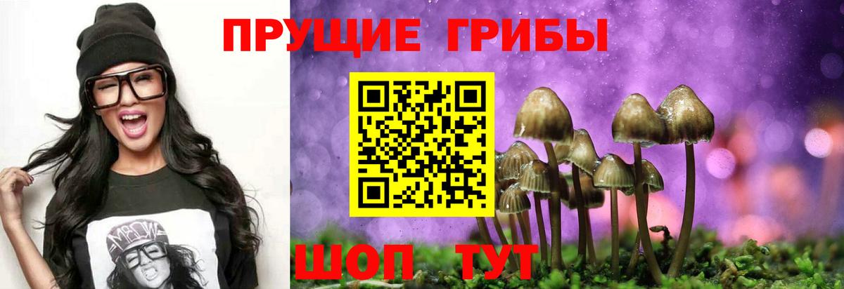 Галлюциногенные грибы Cubensis Чистополь
